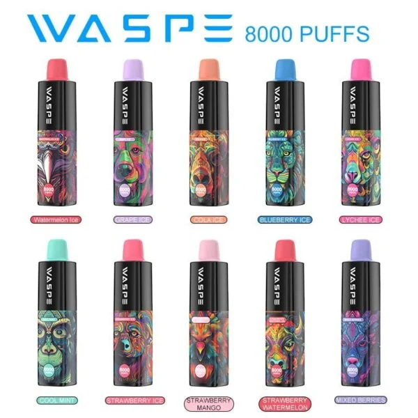 8 - WASPE 8000 PUFFS Bulk Disposable Vapes Wholesale Supplier