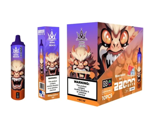 BANG BEACH 22000 PUFFS Großhandel Kauf Aufladbare Einweg-Vape Großhandel