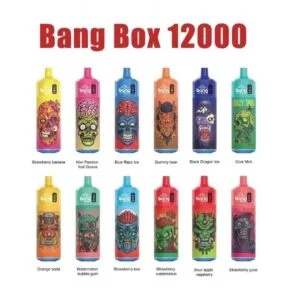 Proveedor mayorista de vaporizadores desechables recargables Bang Box 12000 bocanadas al por mayor
