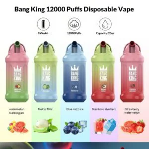 Fornecedor Atacadista de Vapes Descartáveis Recarregáveis Bang King 12000 Puffs a Granel