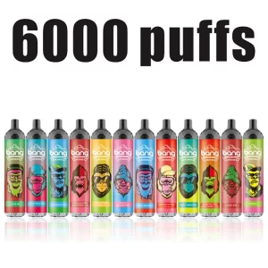 Bang King 6000 Puffs Disposable Pod vape Wholesale Supplier