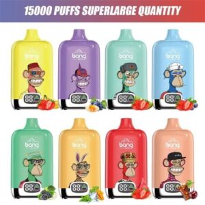 Bang King Smartscreen 15000 Puffs Rechargeable Bulk Disposable Vapes Wholesale Supplier
