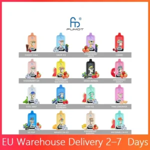 RandM Digital Box 12000 Puhallusta LED-Näyttö Irtotavarakauppa Ladattava Hävytettävä Vape Tukku