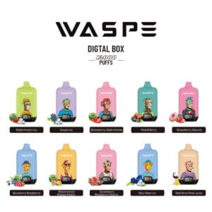 WASPE 12000 PUFFS Digital Box Bulk Engangs Vapes Grossist Leverandør