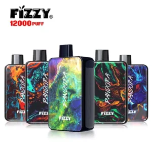 FIZZY Pandora 12000 Puffs 2% 5% Low Strength Bulk Buy LCD Screen Rechargeable Disposable Vapes Pen Wholesale