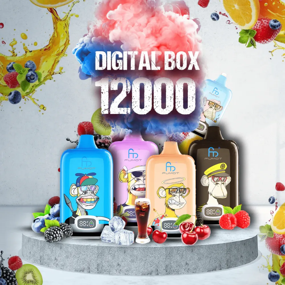 RandM Digital Box 12000 high-puff vape shown as a product-identification example
