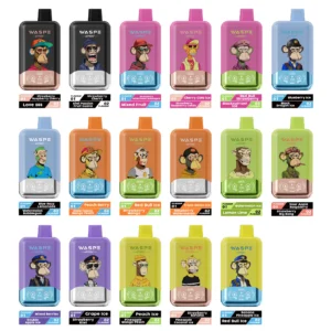 WASPE AIVIOU 40000 Puffs Double Tastes LED Screen Bulk Buy Rechargeable Disposable Vapes Wholesale