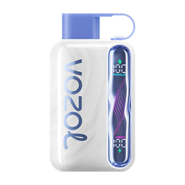 Vozol Star 40K Puffs LED Bildschirm Grohandel Kauf Aufladbare Einweg-Vapes Grohandel - Elf Vaping Vozol Star 40K Puffs LED Bildschirm Grohandel Kauf Aufladbare Einweg-Vapes Grohandel - Elf Vaping