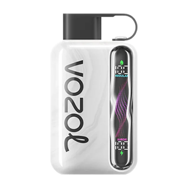 welche vape sorten gibt es Vozol Vapes & Pod-Systeme kaufen main image 1