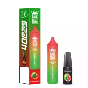 BANG BLAZE SHISHA 40K Puffs DSK040 Ekraninės Masinės Pirkimo Įkraunamos Vienkartinės Garintuvės Didmeninė Prekyba