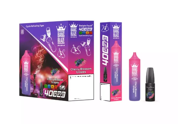 BANG BLAZE SHISHA 40K Puffs DSK040 Screen Bulk Buy Rechargeable Disposable  Vapes Wholesale - Elf Vaping