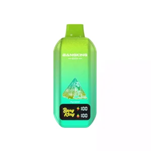 BANG KING 50K Puffs CITY DSK044 Screen Bulk Buy Rechargeable Disposable Vapes Wholesale