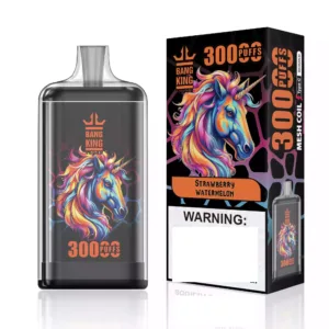 BANG KING 30K Puffs DSK057 Bulk Buy Rechargeable Disposable Vapes Wholesale