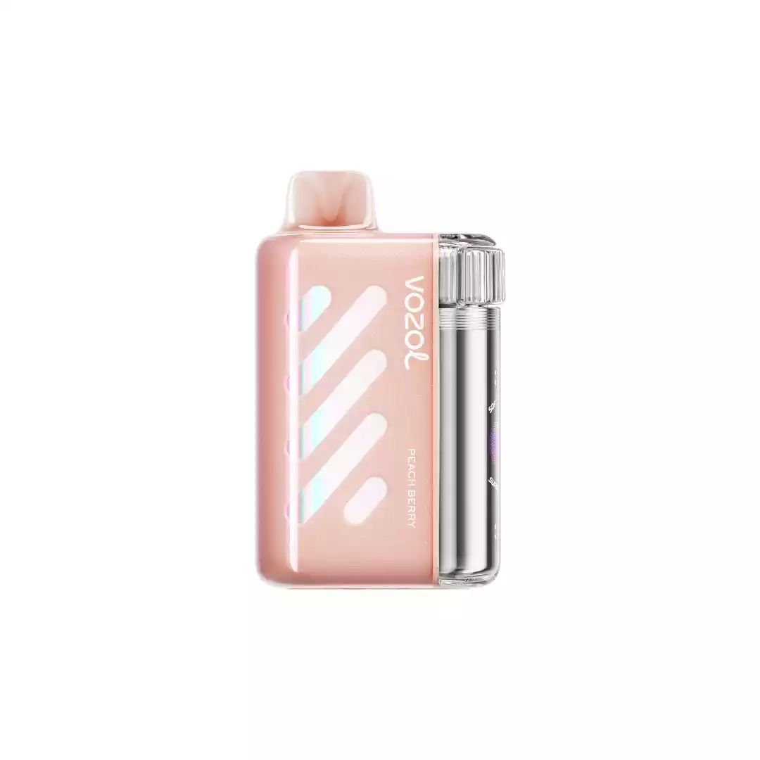 elfbar elfa kaufen VOZOL VISTA 40K Puffs 50 mg Bulk Buy Rechargeable Disposable Vapes  Wholesale