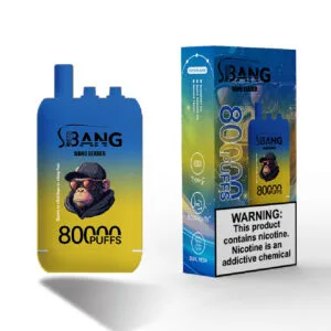 disposable vape pens in bulk BANG LEADER 80K Puffs Three Tastes Low Strength Rechargeable Buy Wholesale Choose Flavour::Blueberry Sour Raspberry Flum Pebble Disposable Vape Non Iced