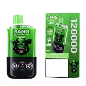 BANG LEADER STOLL 120000 Double Tastes 120K Puffs Disposable Vapes Wholesale Bulk Buy