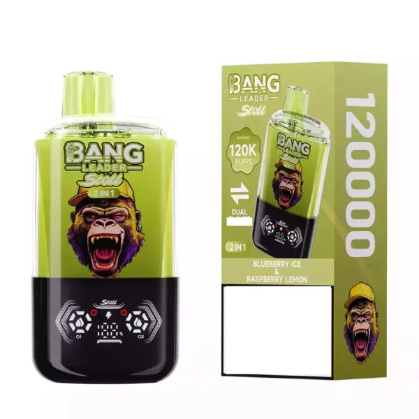 elfbar elfa master akku BANG LEADER STOLL 120000 Doppelte Aromen 120K Puffs Einweg-Vapes Großhandel  Massenbestellung