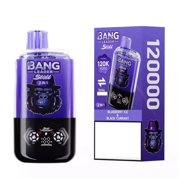 199 9 kubikmeter e zigarette BANG LEADER STOLL 120000 Doppelte Aromen 120K Puffs Einweg-Vapes Großhandel  Massenbestellung