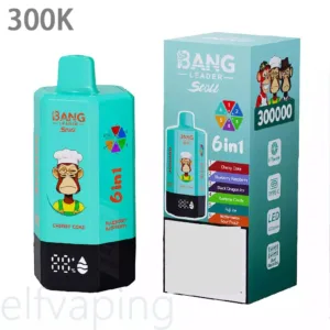 BANG LEADER STOLL 300K Disposable Vapes Wholesale Bulk Buy 300000 Puffs 6 in 1 Taste Rechargeable