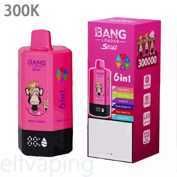 LEADER STOLL BANG 300K Vapes jetables en gros Achat en bulk 300 000  bouffes 6 en 1 Got Rechargeable - Elf Vaping