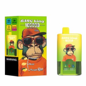 BANG KING DSK061 100000 Puffs Premium 100K Disposable Vapes Wholesale Bulk Buy 3 in 1 Taste