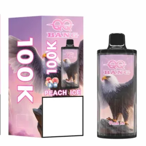 QQ BANG 100000 затяжек DSK075 Премиум 100K Disposable Vapes оптовая покупка в bulk перезаряжаемые высокая емкость двойная сетка
