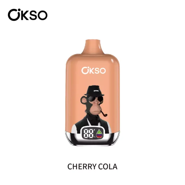 OKSO Digital 12000 Puffs 12K Rechargeable Disposable Vapes Wholesale LED  Display Bulk Buy