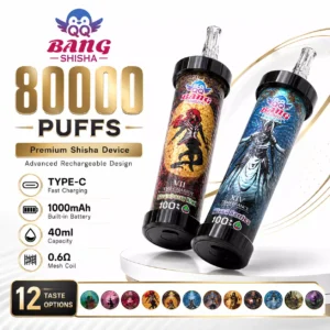 QQ BANG BLAZE 80000 Puffs Shisha DSK051 80K Einweg-Vapes Großhandel Massen Kauf Smart Display Mesh Coil