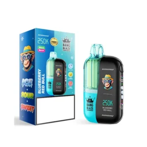 BANG BLAZE 250000 Puffs 250K Bulk Buy Rechargeable Disposable Vapes Dual Mesh Digital Screen Wholesale - Billede 13