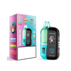 BANG BLAZE 250000 Puffs 250K Bulk Buy Rechargeable Disposable Vapes Dual Mesh Digital Screen Wholesale - Billede 4