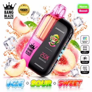 BANG BLAZE 250000 Puffs 250K Bulk Buy Rechargeable Disposable Vapes Dual Mesh Digital Screen Wholesale
