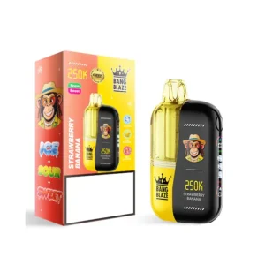 BANG BLAZE 250000 Puffs 250K Bulk Buy Rechargeable Disposable Vapes Dual Mesh Digital Screen Wholesale - Billede 11