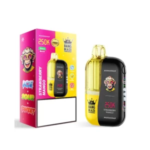 BANG BLAZE 250000 Puffs 250K Bulk Buy Rechargeable Disposable Vapes Dual Mesh Digital Screen Wholesale - Billede 9