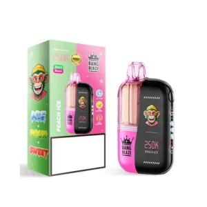 BANG BLAZE 250000 Puffs 250K Bulk Buy Rechargeable Disposable Vapes Dual Mesh Digital Screen Wholesale - Billede 6