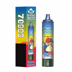 QQ BANG 70000 Puffs DSK059 70K Rechargeable Disposable Vapes Wholesale DTL High Capacity Digital Display Bulk Buy - Image 5