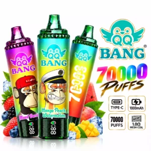 QQ BANG 70000 Puffs DSK059 70K Rechargeable Disposable Vapes Wholesale DTL High Capacity Digital Display Bulk Buy