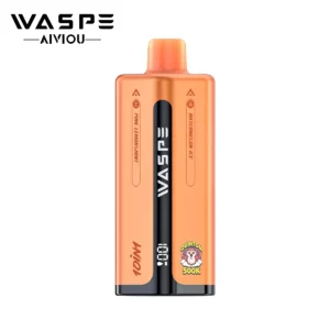 WASPE AIVIOU 10 In 1 Tastes QUINTON 500000 Puffs 500K Bulk Buy Original Rechargeable Disposable Vapes Wholesale LED Display - Image 5