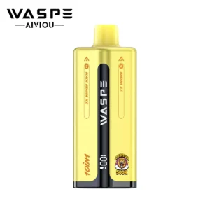 WASPE AIVIOU 10 In 1 Tastes QUINTON 500000 Puffs 500K Bulk Buy Original Rechargeable Disposable Vapes Wholesale LED Display - Image 4
