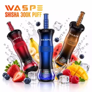 WASPE AIVIOU SHISHA HOOKAH 300000 Puffs 300K Rechargeable Disposable Vapes European Wholesale Bulk Buy Mesh Coil LED Display