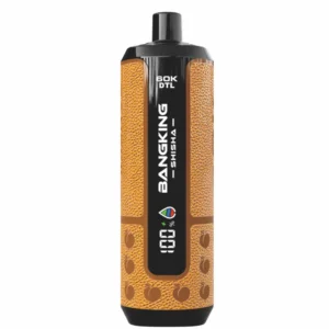 BANG KING SHISHA 60000 Puffs DSK091 60K Rechargeable Disposable Vapes DTL Wholesale Bulk Buy Digital Display - immagine 11