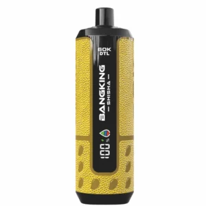 BANG KING SHISHA 60000 Puffs DSK091 60K Rechargeable Disposable Vapes DTL Wholesale Bulk Buy Digital Display - immagine 2