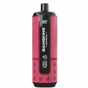 BANG KING SHISHA 60000 Puffs DSK091 60K Rechargeable Disposable Vapes DTL Wholesale Bulk Buy Digital Display - immagine 10