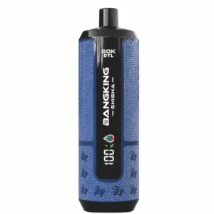 BANG KING SHISHA 60000 Puffs DSK091 60K Rechargeable Disposable Vapes DTL Wholesale Bulk Buy Digital Display - immagine 8