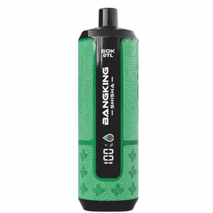 BANG KING SHISHA 60000 Puffs DSK091 60K Rechargeable Disposable Vapes DTL Wholesale Bulk Buy Digital Display - immagine 7