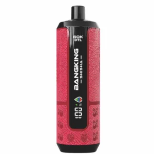 BANG KING SHISHA 60000 Puffs DSK091 60K Rechargeable Disposable Vapes DTL Wholesale Bulk Buy Digital Display - immagine 6
