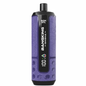 BANG KING SHISHA 60000 Puffs DSK091 60K Rechargeable Disposable Vapes DTL Wholesale Bulk Buy Digital Display - immagine 4