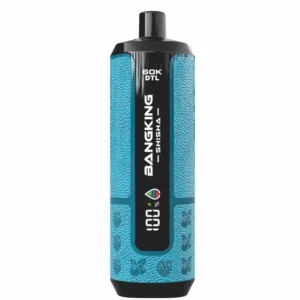 BANG KING SHISHA 60000 Puffs DSK091 60K Rechargeable Disposable Vapes DTL Wholesale Bulk Buy Digital Display - immagine 3