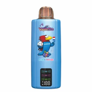 BANG VAPORSEA 300000 Puffs 300K 6 In 1 Rechargeable Disposable Vapes Wholesale Bulk Buy Digital Screen DSK092 - Pilt 4