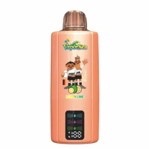 BANG VAPORSEA 300000 Puffs 300K 6 In 1 Rechargeable Disposable Vapes Wholesale Bulk Buy Digital Screen DSK092 - Pilt 3