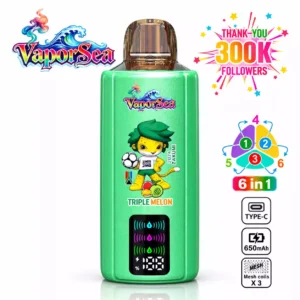 BANG VAPORSEA 300000 Puffs 300K 6 In 1 Rechargeable Disposable Vapes Wholesale Bulk Buy Digital Screen DSK092